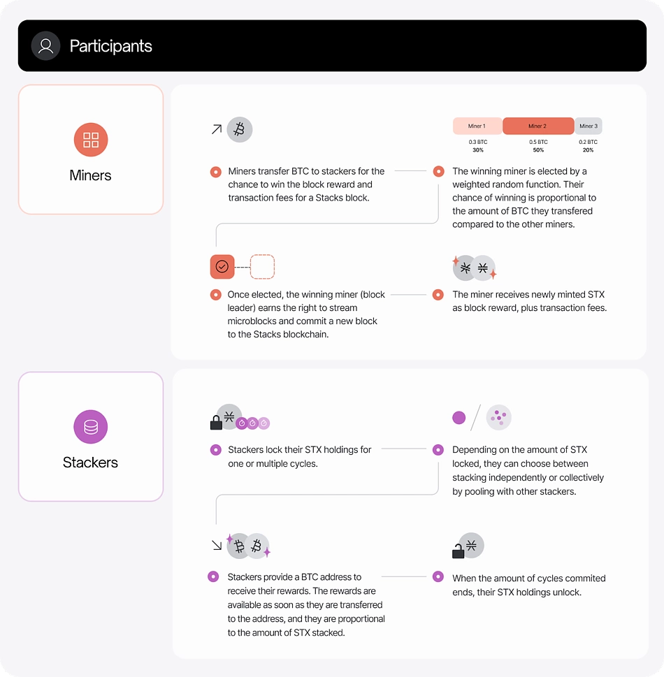 Which Bitcoin Wallet Starts with 2: A Comprehensive Guide